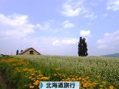 にほんブログ村 旅行ブログ 北海道旅行へ