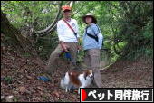にほんブログ村 旅行ブログ ペット同伴旅行へ